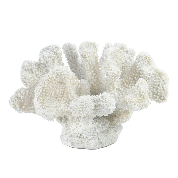 Small White Coral Decor