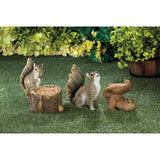 Squirrel Tree Trunk Bird Feeder