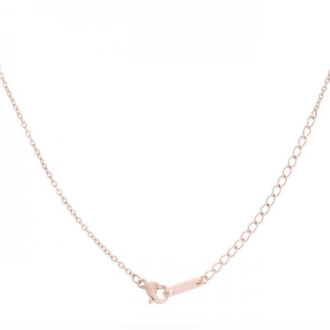 Arianna Rose Gold Stainless Steel Arrow Necklace