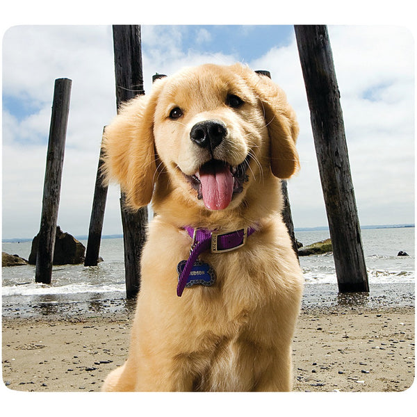 Fellowes Recycled Mouse Pad (puppy At Beach)